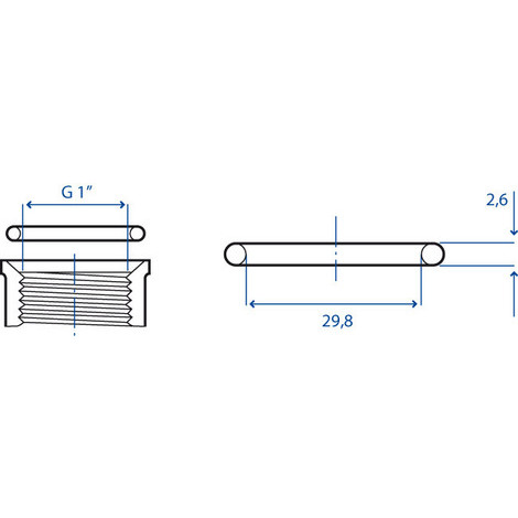 GUARNIZIONE OR 29,8X2,6        PZ.50